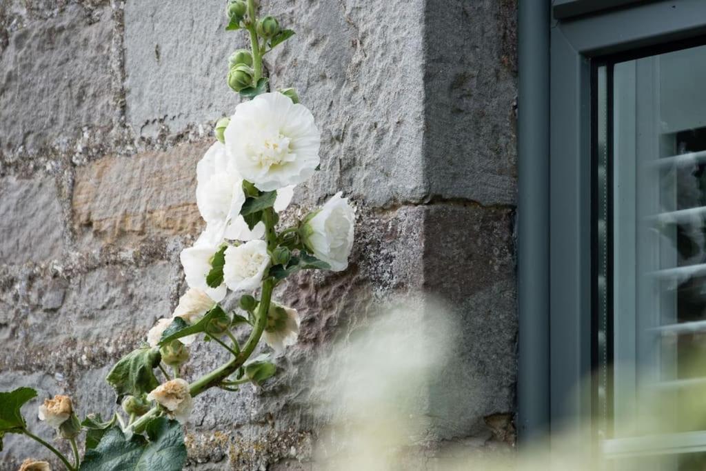 Luxury Cottage Near Hay-On-Wye Llanigon Екстериор снимка